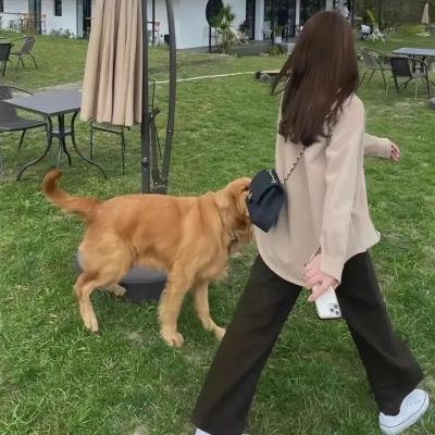 拆弹专家